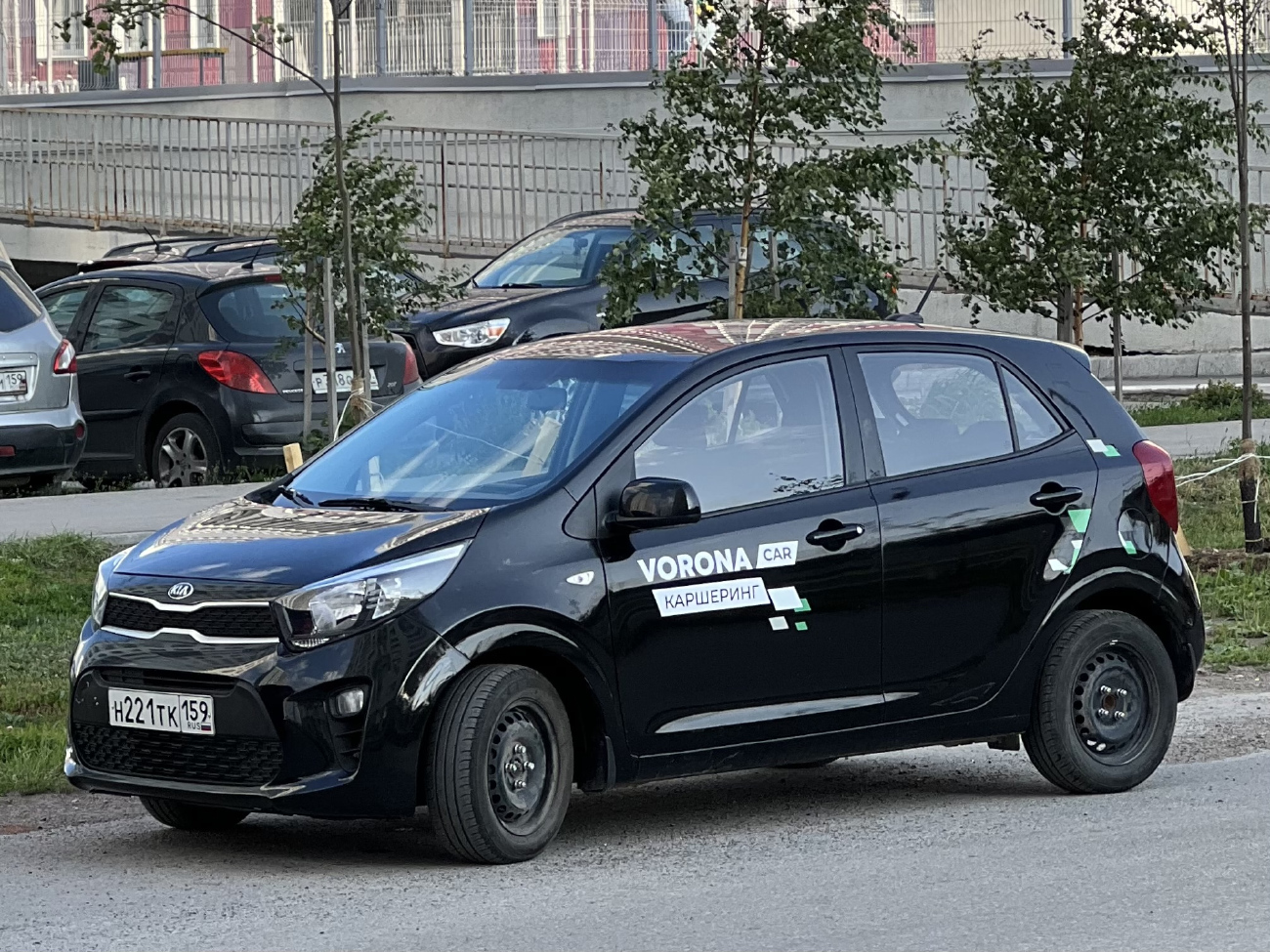 Пермь, KIA Picanto № Н 221 ТК 159