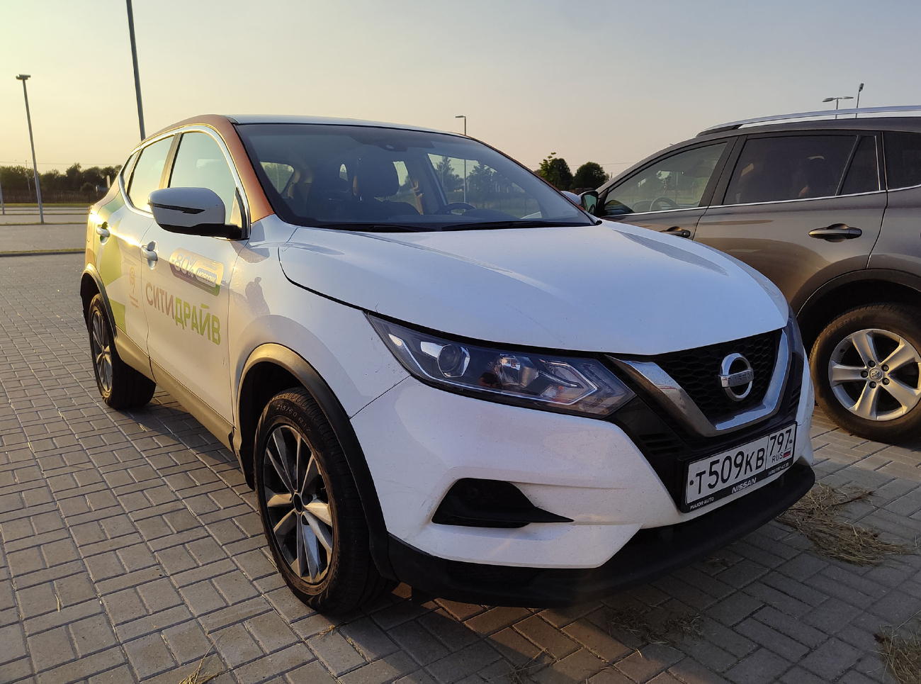 Москва, Nissan Qashqai № Т 509 КВ 797