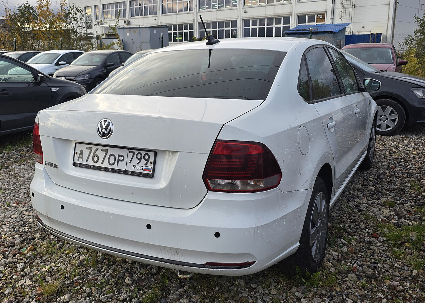 Санкт-Петербург, Volkswagen Polo № А 767 ОР 799